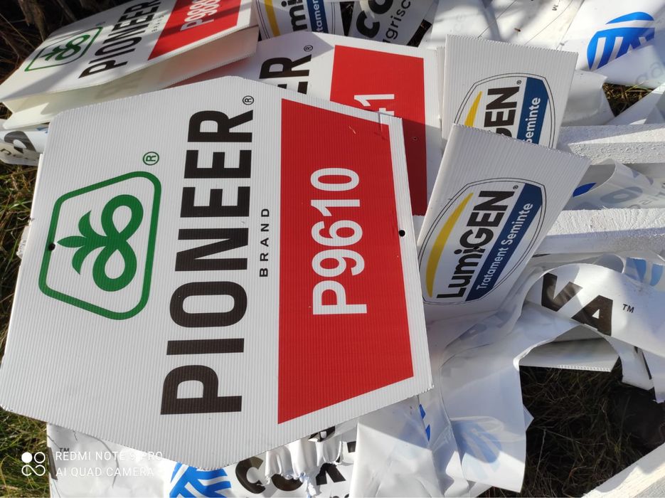 Samanta PIONEER | porumb | siloz | floare | NEOMA