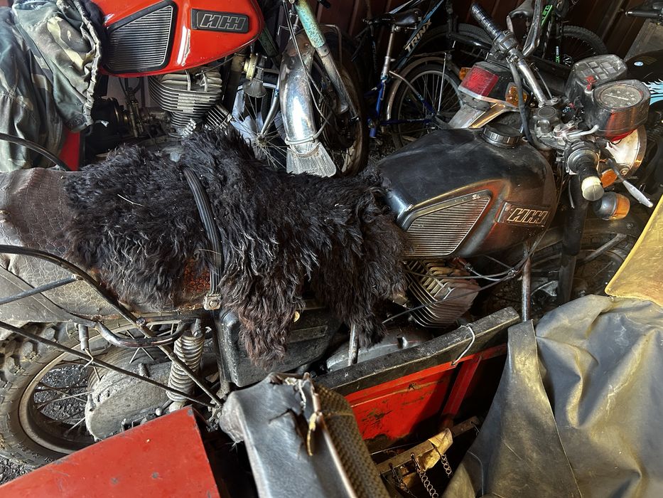 Продам иж юпитер 5