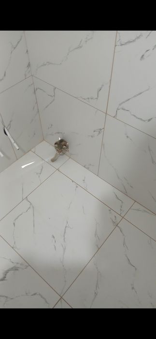 Укладка кафеля,ламината.