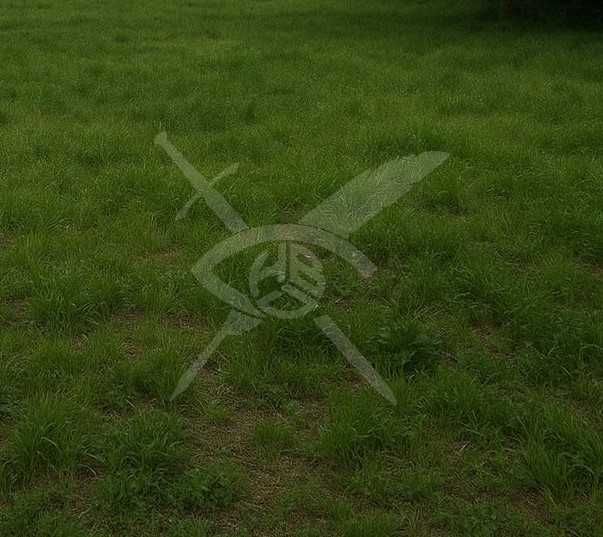 Парцел в Прослав 55428