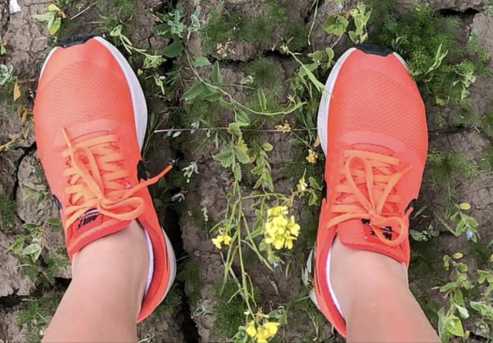 кроссовки  nike 36 размер