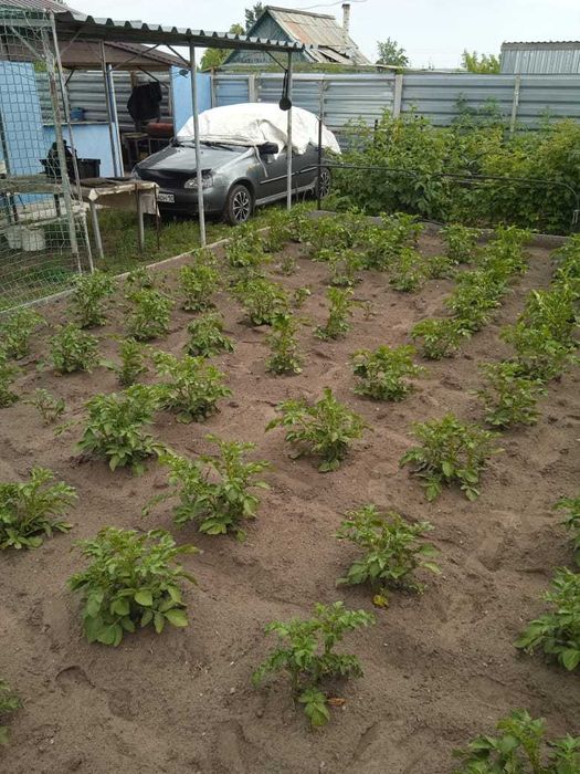 Продам дачу в СО "Геолог"