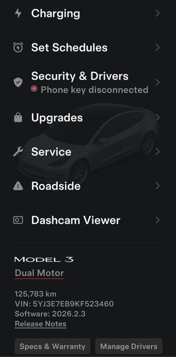 Tesla Model 3 performance