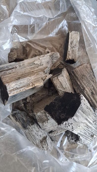 Катализатор кабылдаймыз!