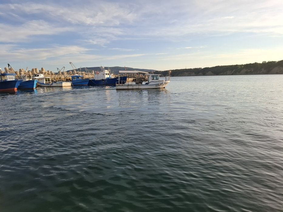 Лодка 9.8м  на  2.9м