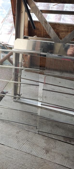 Gratii Haneman pentru stupi orizontali