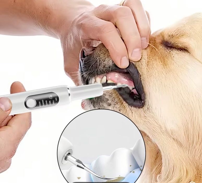 Aparat de curatare dentara pentru animale de companie