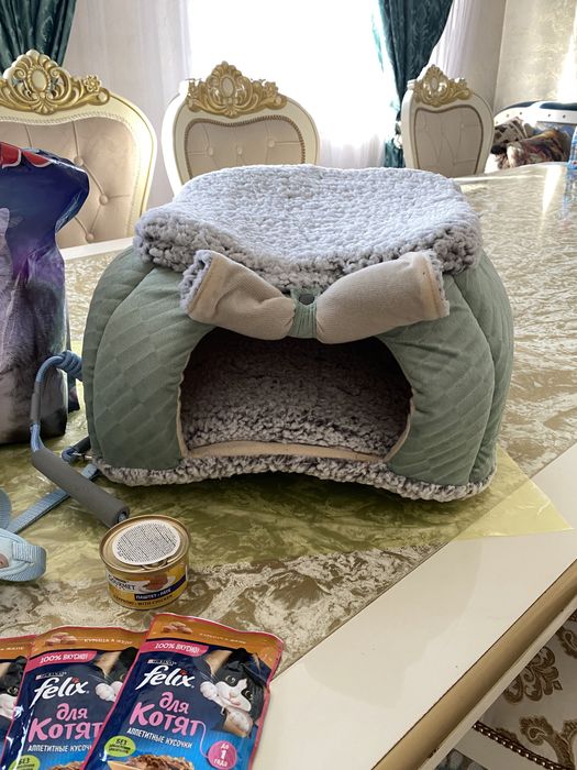 Новый домик для котенка