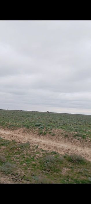 қора сатылады 280млн