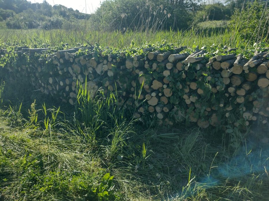 Lemne de foc esență tare