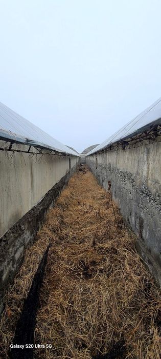 Uchkoprik tumani qoqonboyda xonadon sotiladi