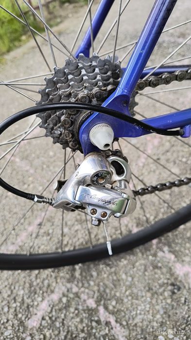 Cursiera Giant carbon