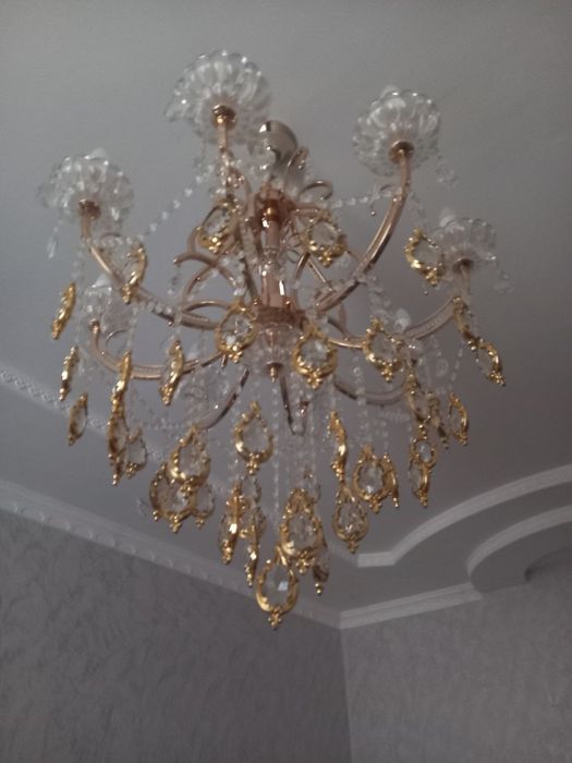 Лиустра сатылады