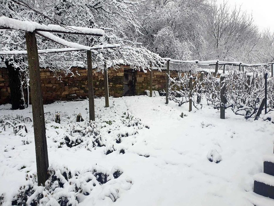 Продава се Къща в с. Горски горен Тръмбеш, Област Велико Търново - 100 кв.м за 255 €/кв.м - Снимка #14