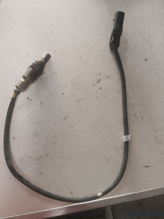 Sonda Lambda Volkswagen Golf Vii Estate (Ba5, Bv5) [ 2013 - > ] Oem 04