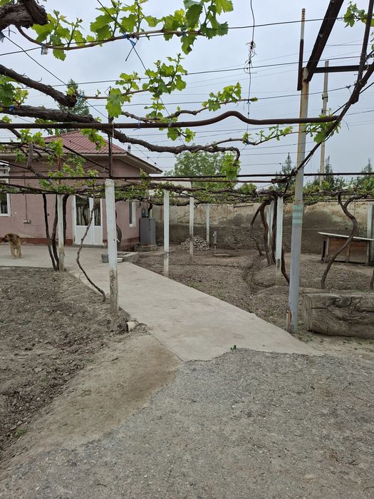 Ёрмазорда 3 та 9 сотихлик участка. Катедж куриб сотувчилар учун аъло и