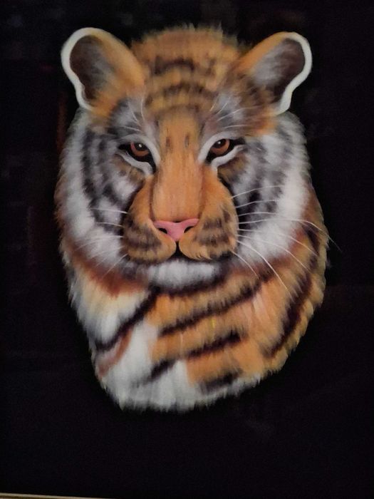 картина красивая тигр