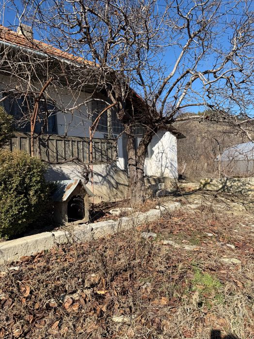Vand casa plus teren Pietroasele