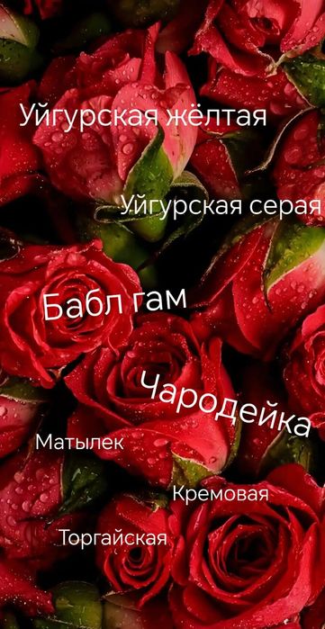 Мел глина в наличии.