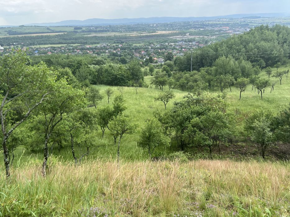 Teren ideal pentru cabane