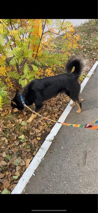 Мальчик ищет дом