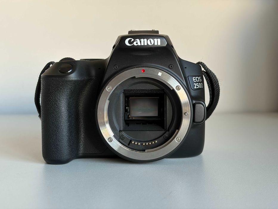 Canon 250D + два обектива