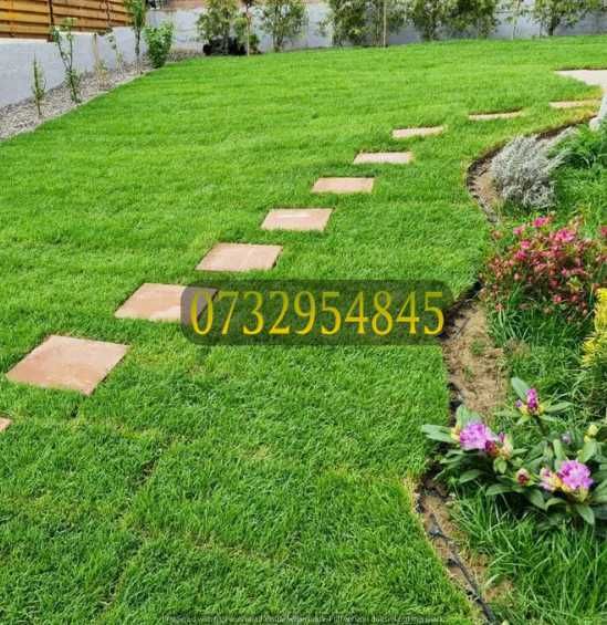Gazon Natural de Calitate – Rezistent și Elegant