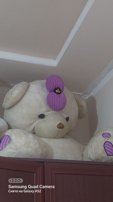 Igrushka ayiq holati yaxshi