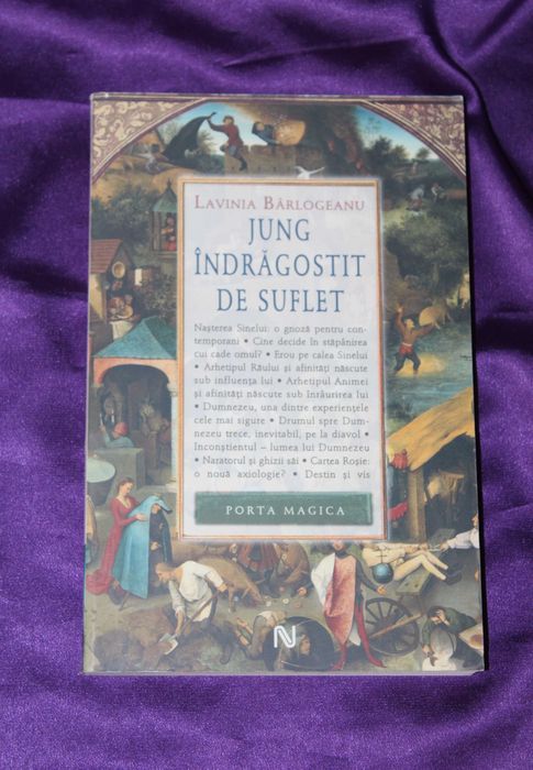 Problema Puer Aeternus  Marie-Louise von Franz Visul activ Psihologie