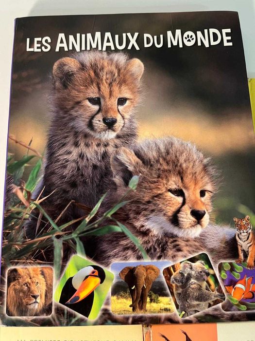 Pachet 6 carti in limba franceza pentru copii - 65 lei