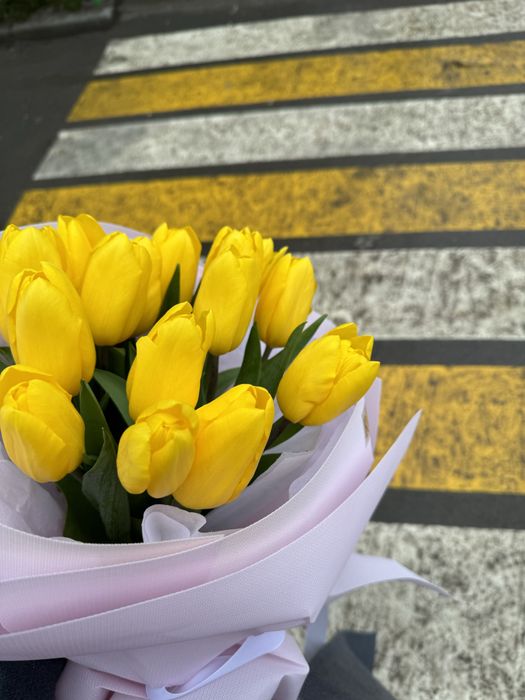 Бу цветы тюльпан