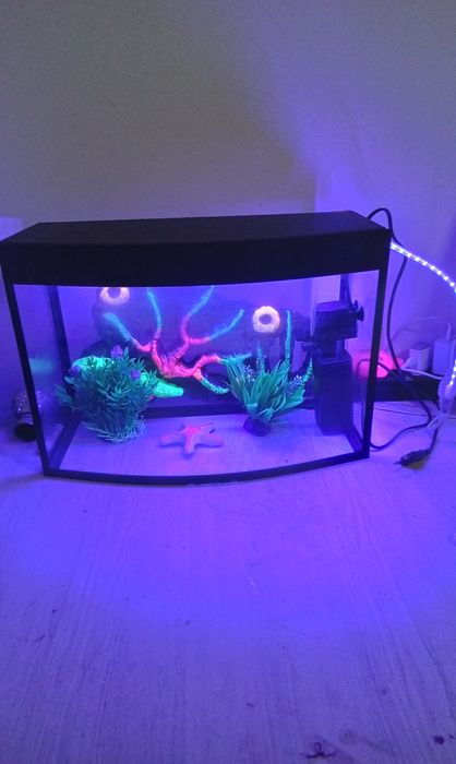 Акфоруюм сотилади янги олинган 2 баликчасини текинга кушиб бераман