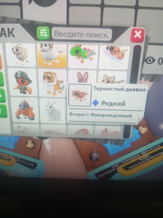 Адопт ми петы продажа