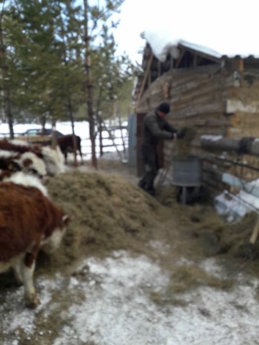 Дробилка для зерна 4в1