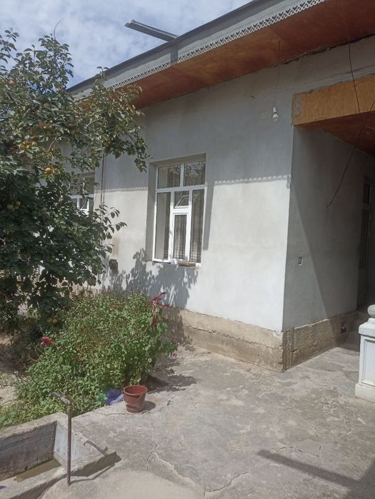 Дом 5 соток Самарканд