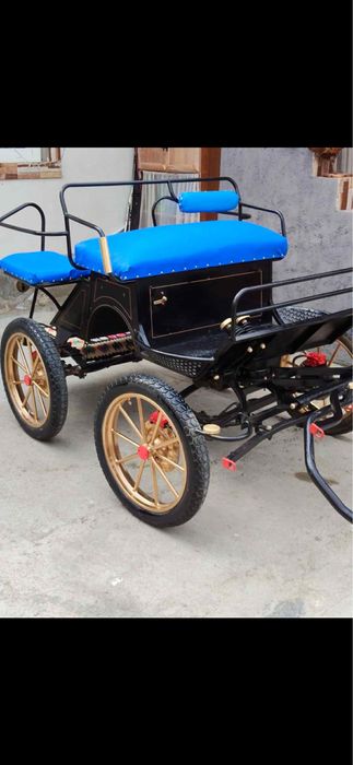 De vanzare trasura maraton pn cai cu sistem de frnare pe 4 roti