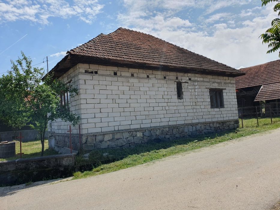 Vând casă cu grădină