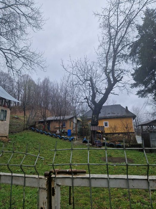 Casa de vacanta la tara