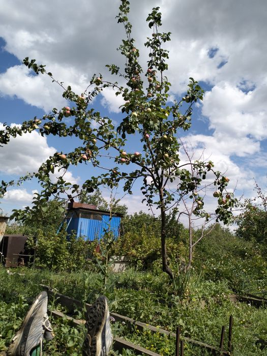 Продам дачу на 2 краснаярский