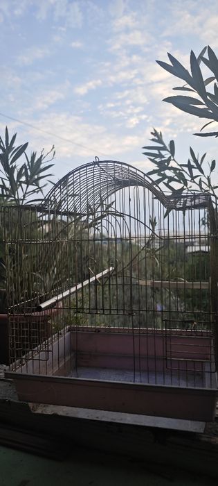 Клетка для попугаев.