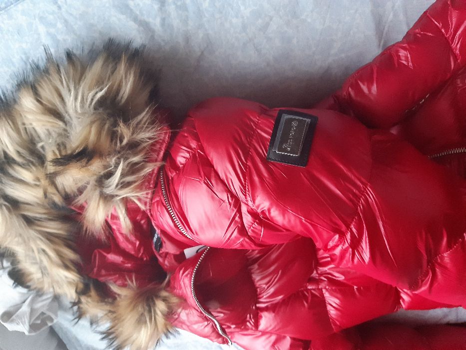 Нови зимни якета S размер