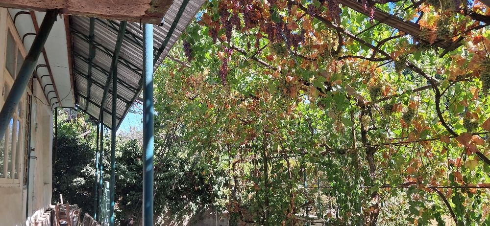 Дача 4 ,5 соток. Находится паркенте