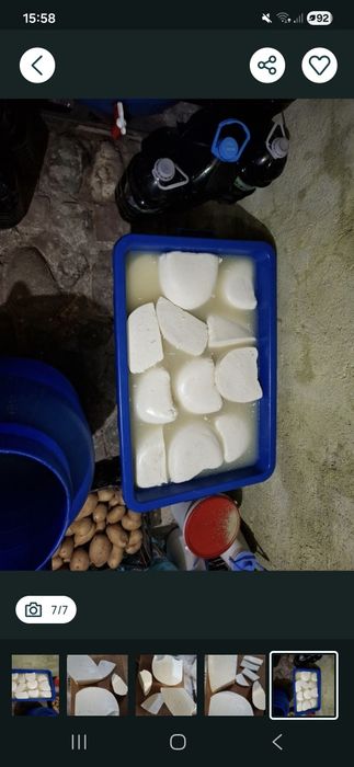 Brânză proaspătă capră naturală