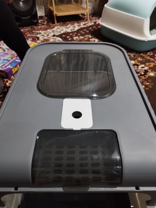 Лоток для кошек, туалет