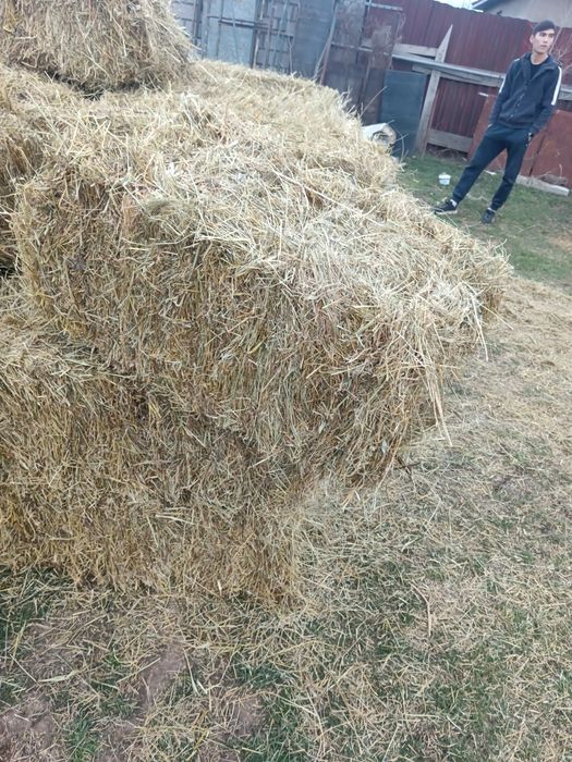 Қырдың майда шоп 1300 тенге