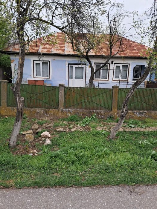 Vand casa Macesul de sus Dolj