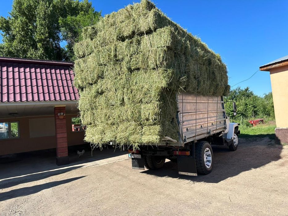 Сено люцерна с доставкой