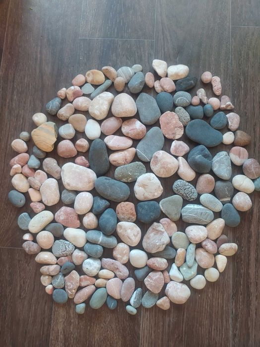 Ракушки для декора