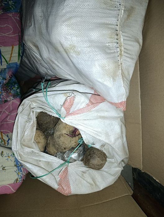 Два мешка свеклы по 50кг