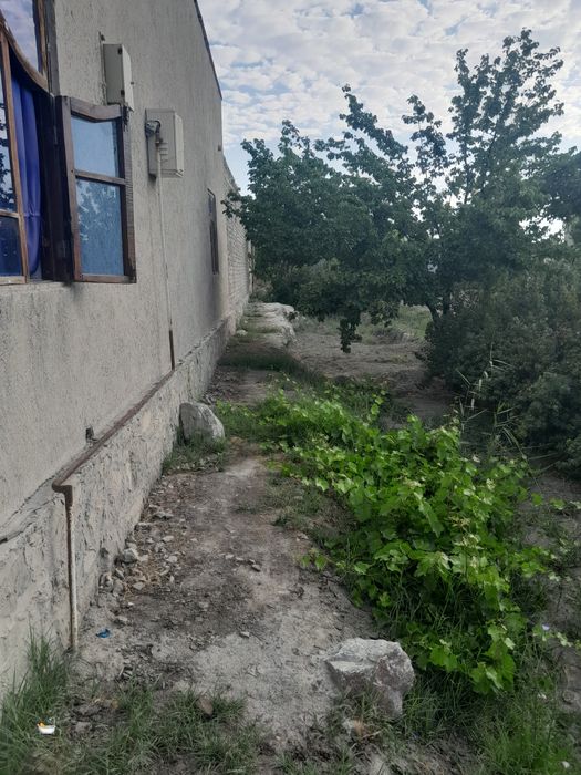 Навбахор тумани арабхона қишлоғида уй жой сотилади  тезда